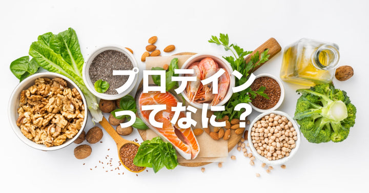 プロテインは英語で「protein」｜意味はたんぱく質、種類も解説