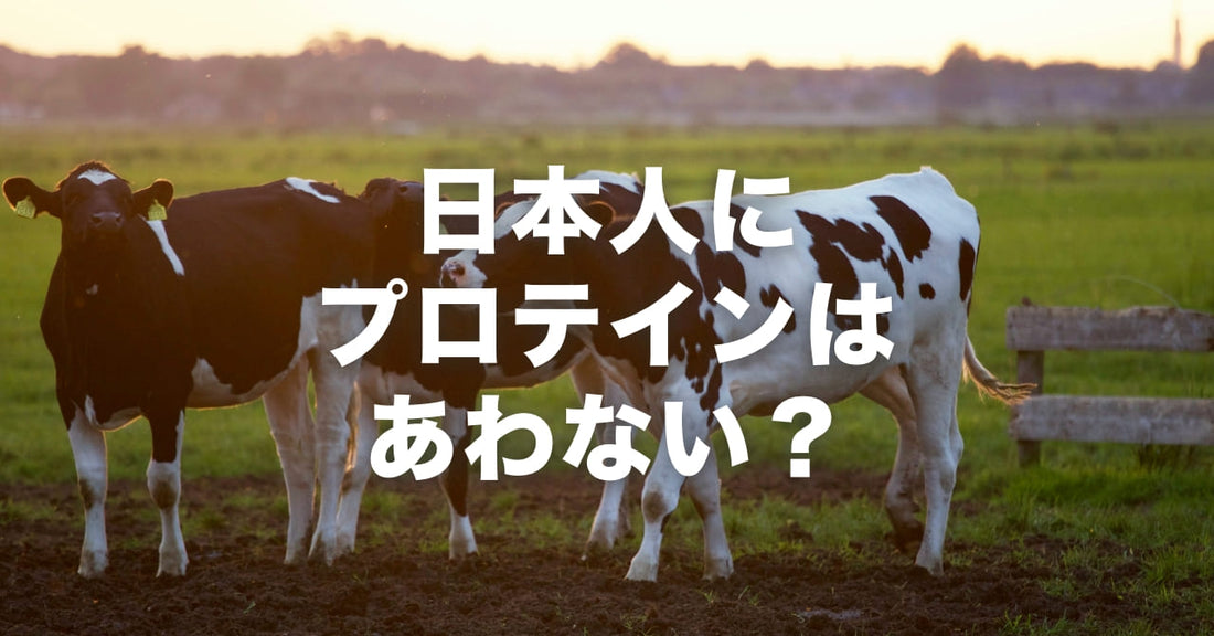 日本人にはホエイプロテインはあわない？