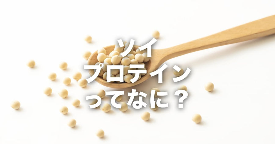 ソイプロテインってなんですか？