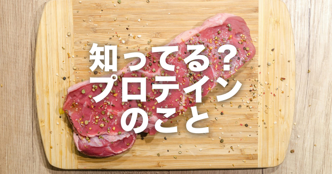 プロテインについて知っておきたいこと