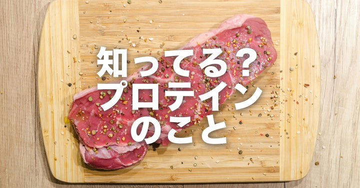 プロテインについて知っておきたいこと