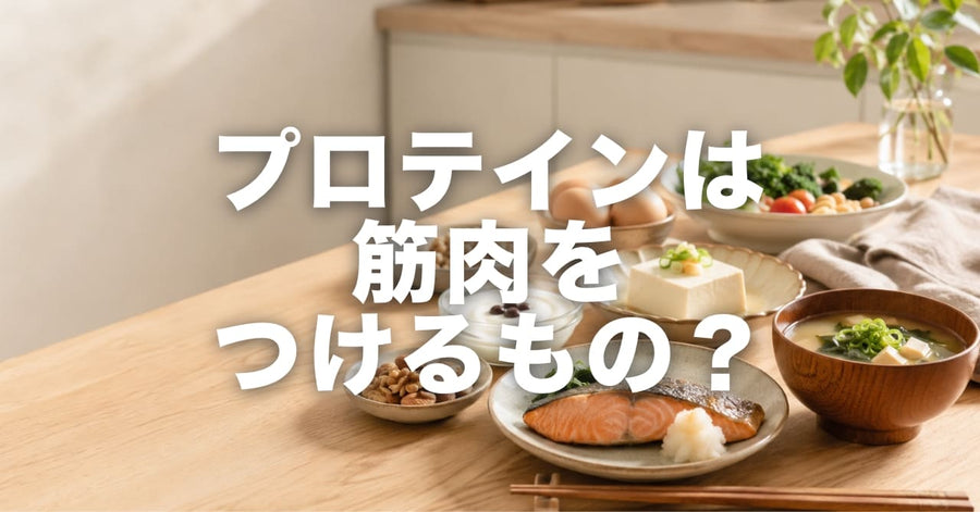 プロテイン＝筋肉、ではありません【2026年版】たんぱく質の正体と、運動しない人にも毎食必要な理由