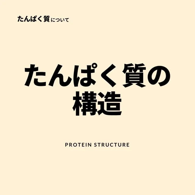 たんぱく質の構造