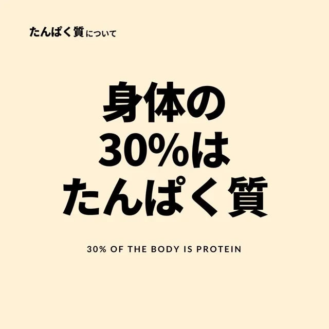 身体の30%はたんぱく質