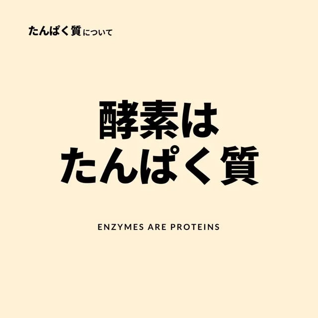 酵素はたんぱく質