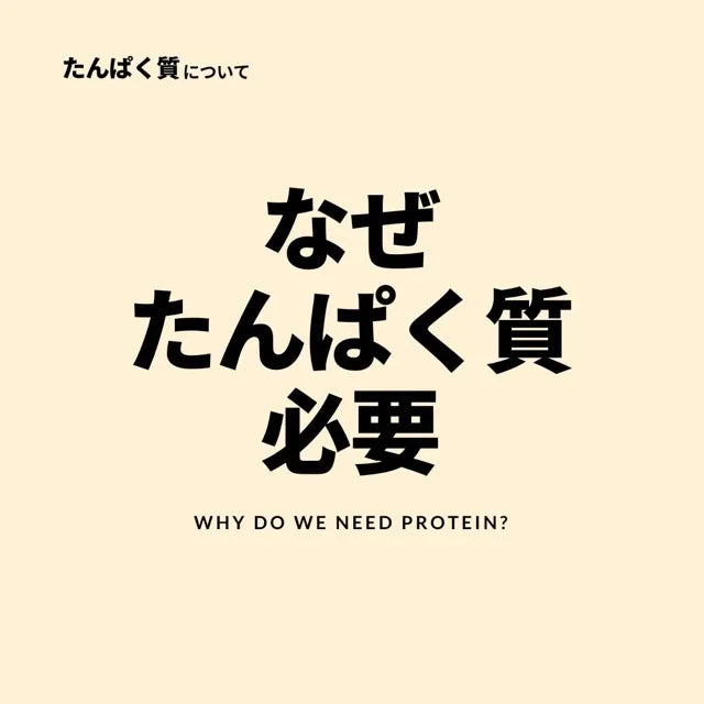 なぜたんぱく質が必要？