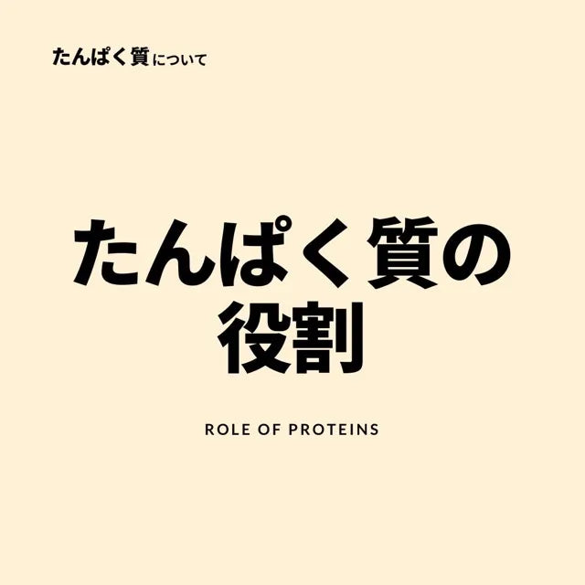 たんぱく質の役割