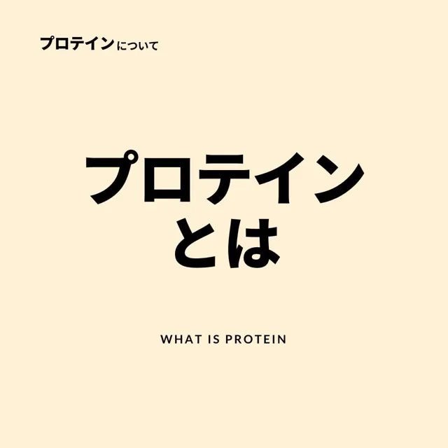 プロテインとは？