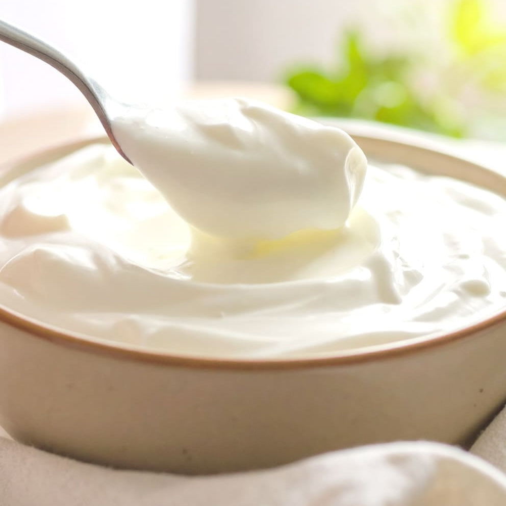 のむヨーグルトプロテイン